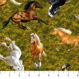 Roaming Wild - Wild Horse Stripe - Fat Eighth