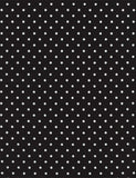 Home Is Where The Honey Is - White Polka Dots - Black