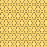 Honeycomb in Honey